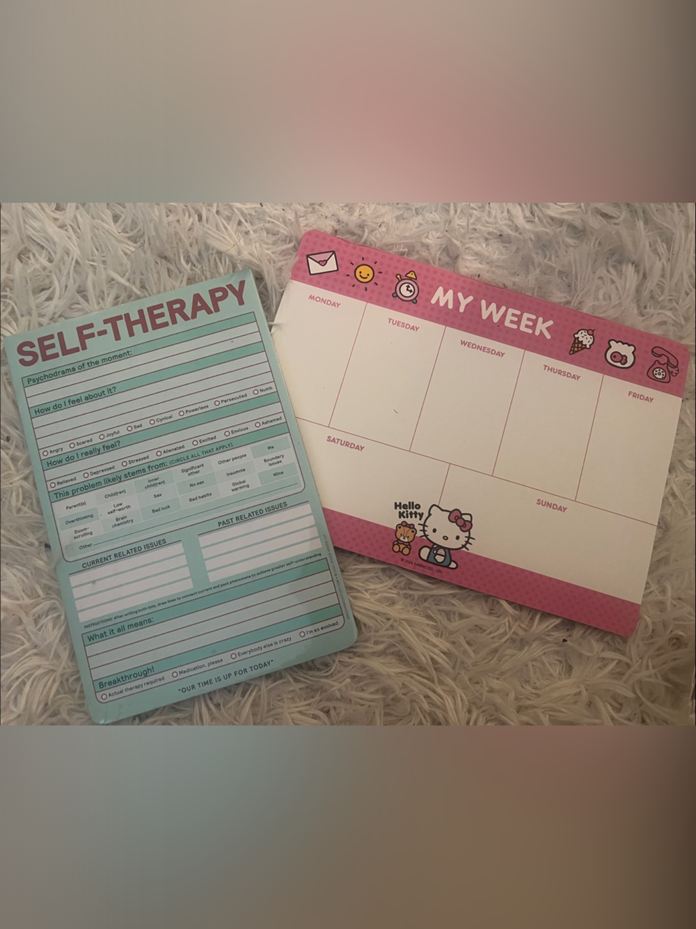 Hello Kitty Pink Weekly Planner + Aqua Self-Therapy Notepad